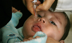 حضور تیم‌های واکسیناسیون فلج اطفال در فرودگاه و اسکله‌های قشم